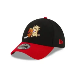 Flash Sale Angry Beavers 39THIRTY Stretch Fit Hat - KTGCaps - Baseball caps for various teams, purchased online at a discount Caps