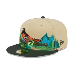 Hot Baltimore Orioles Team Landscape 59FIFTY Fitted Hat - KTGCaps - Baseball caps for various teams, purchased online at a discount Caps