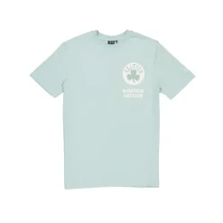 Flash Sale Boston Celtics Minty Breeze Logo Select TShirt - KTGCaps - Baseball caps for various teams, purchased online at a discount Caps
