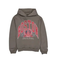 Outlet Boston Red Sox Oversized Essentials Hoodie - KTGCaps - Baseball caps for various teams, purchased online at a discount Caps