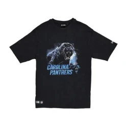 Outlet Carolina Panthers Premium Black TShirt - KTGCaps - Baseball caps for various teams, purchased online at a discount Caps
