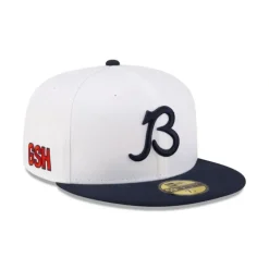 Fashion Chicago Bears 2024 Training Alt 59FIFTY Fitted Hat - KTGCaps - Baseball caps for various teams, purchased online at a discount Caps