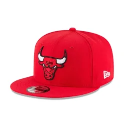 Online Chicago Bulls Basic 9FIFTY Snapback Hat - KTGCaps - Baseball caps for various teams, purchased online at a discount Caps