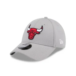 Hot Chicago Bulls Gray 9FORTY StretchSnap Hat - KTGCaps - Baseball caps for various teams, purchased online at a discount Caps