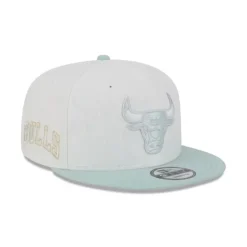 Fashion Chicago Bulls Minty Breeze Logo Select 9FIFTY Snapback Hat - KTGCaps - Baseball caps for various teams, purchased online at a discount Caps