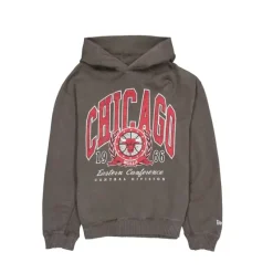 Hot Chicago Bulls Oversized Essentials Hoodie - KTGCaps - Baseball caps for various teams, purchased online at a discount Caps