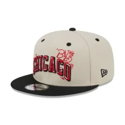 Sale Chicago Bulls Team Art 9FIFTY Snapback Hat - KTGCaps - Baseball caps for various teams, purchased online at a discount Caps