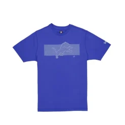Discount Detroit Lions Active TShirt - KTGCaps - Baseball caps for various teams, purchased online at a discount Caps