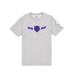 Shop Detroit Tigers City Connect Gray TShirt - KTGCaps - Baseball caps for various teams, purchased online at a discount Caps