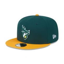 Hot Edmonton Elks Team 59FIFTY Fitted Hat - KTGCaps - Baseball caps for various teams, purchased online at a discount Caps