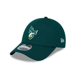 Hot Edmonton Elks Team 9FIFTY Snapback Hat - KTGCaps - Baseball caps for various teams, purchased online at a discount Caps