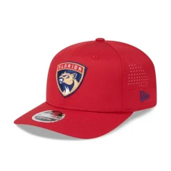 Hot Florida Panthers 9TWENTY Adjustable Hat - KTGCaps - Baseball caps for various teams, purchased online at a discount Caps