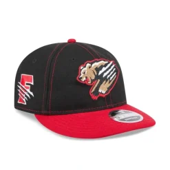 Hot Florida State Seminoles Perform 9SEVENTY StretchSnap Hat - KTGCaps - Baseball caps for various teams, purchased online at a discount Caps