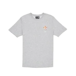 Discount Houston Astros Logo Essentials Gray TShirt - KTGCaps - Baseball caps for various teams, purchased online at a discount Caps