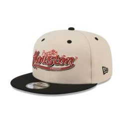 Clearance Houston Astros Team Art 9FIFTY Snapback Hat - KTGCaps - Baseball caps for various teams, purchased online at a discount Caps