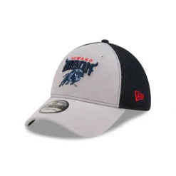 Hot Howard Bison 39THIRTY Stretch Fit Hat - KTGCaps - Baseball caps for various teams, purchased online at a discount Caps