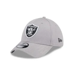 Best Las Vegas Raiders Active 39THIRTY Stretch Fit Hat - KTGCaps - Baseball caps for various teams, purchased online at a discount Caps