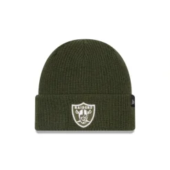 Sale Las Vegas Raiders Green Merino Wool Knit Beanie - KTGCaps - Baseball caps for various teams, purchased online at a discount Caps