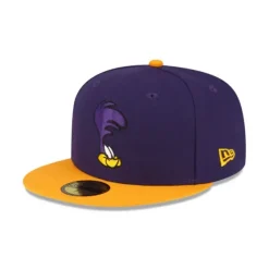 New Looney Tunes Roadrunner 59FIFTY Fitted Hat - KTGCaps - Baseball caps for various teams, purchased online at a discount Caps