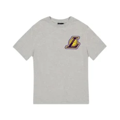 Clearance Los Angeles Lakers Gray Logo Select TShirt - KTGCaps - Baseball caps for various teams, purchased online at a discount