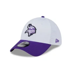 Fashion Minnesota Vikings 2024 Training 39THIRTY Stretch Fit Hat - KTGCaps - Baseball caps for various teams, purchased online at a discount