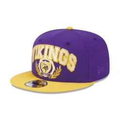 Flash Sale Minnesota Vikings Team Establish 9FIFTY Snapback Hat - KTGCaps - Baseball caps for various teams, purchased online at a discount