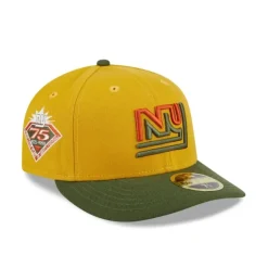 Cheap New York Giants Cinnamon Sage Low Profile 59FIFTY Fitted Hat - KTGCaps - Baseball caps for various teams, purchased online at a discount