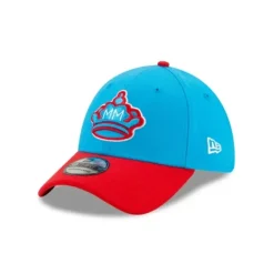 Shop Philadelphia 76ers 2024 City Edition 9TWENTY Adjustable Hat - KTGCaps - Baseball caps for various teams, purchased online at a discount