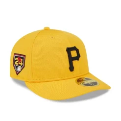 Hot Team USA Boxing Khaki 9TWENTY Adjustable Hat - KTGCaps - Baseball caps for various teams, purchased online at a discount