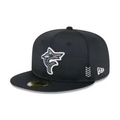 Hot Tennessee Titans 2024 Draft 59FIFTY Fitted Hat - KTGCaps - Baseball caps for various teams, purchased online at a discount