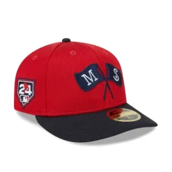 Fashion Toronto Raptors Two Tone 59FIFTY Fitted Hat - KTGCaps - Baseball caps for various teams, purchased online at a discount